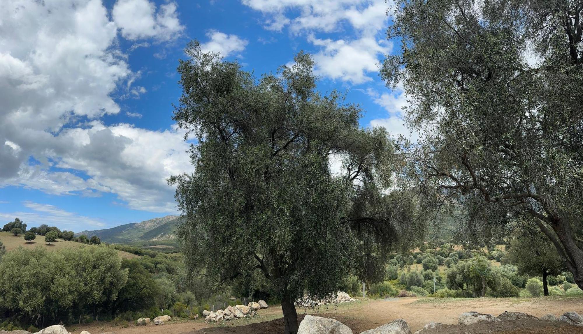 La Casa D'Ange Bergerie De Luxe Villa Lama Kültér fotó