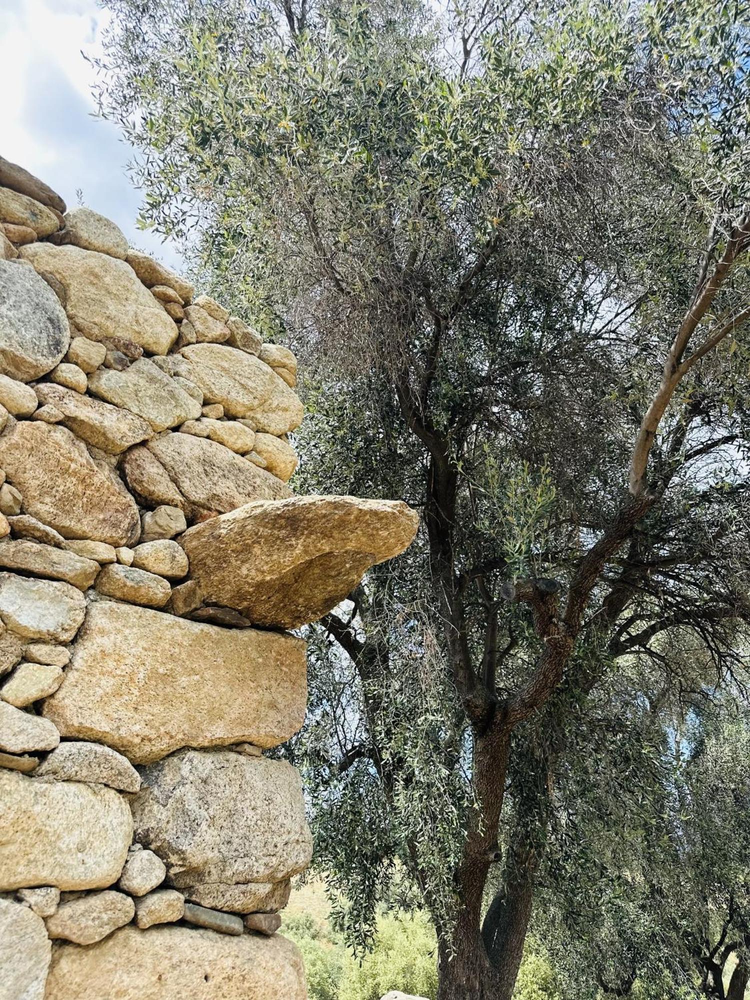 La Casa D'Ange Bergerie De Luxe Villa Lama Kültér fotó